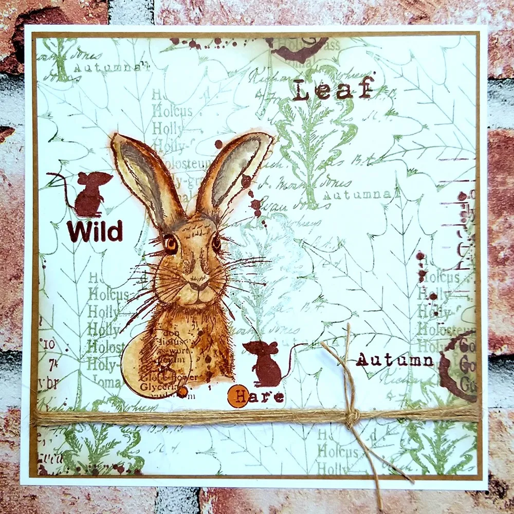 Przezroczyste silikonowe stemp – Clear Silicone Stamps For Card Making recenzja i cena